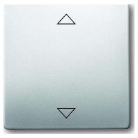 Busch-Jaeger 6430-866-102 Ingangsmodule ↑/↓ RVS 1 stuk(s)