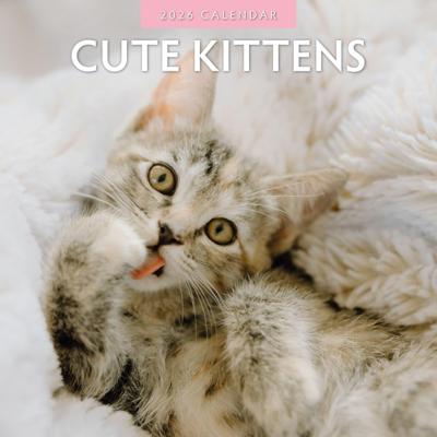 Cute Kittens Kalender 2026