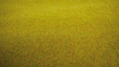 NOCH 00280 Landschapsmat Zomerweide (l x b) 1200 mm x 600 mm