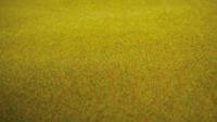 NOCH 00280 Landschapsmat Zomerweide (l x b) 1200 mm x 600 mm - thumbnail