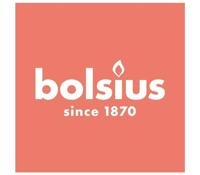Bolsius Stompkaars 13cm Ash Roze - thumbnail