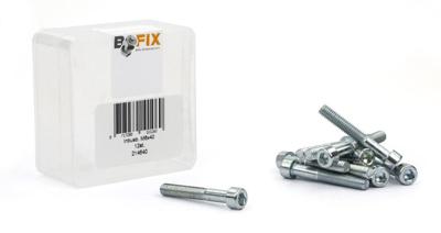 Bofix inbusbout m6x40 verzinkt (12st)