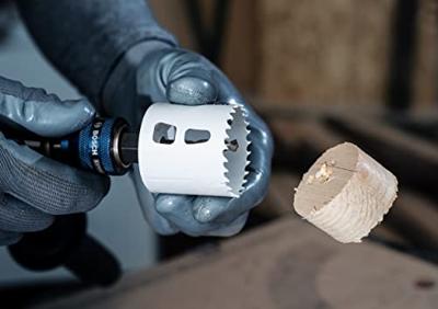 Bosch Accessoires 14-delige Gatzagenset | Power-Change | Hout en Metaal | 20 - 76 mm | + Victorinox mes - 061599760L
