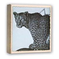 Zep wl57100 album slip-in 100 photos 13x19 cm - 12 albums - thumbnail