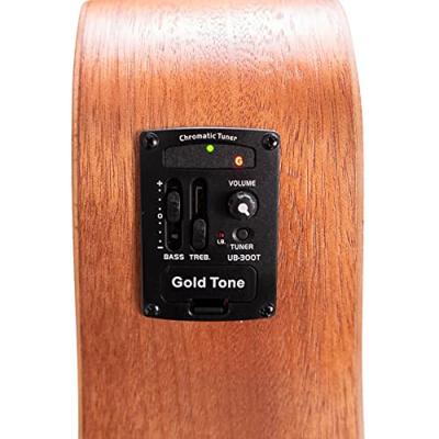 Gold Tone M-BASS25/FL fretloze Microbass met gigbag Gold Tone M-BASS25/FL fretloze Microbass met gigbag