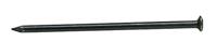 DQ stalen nagel 2.5x40mm bkv (100st) - thumbnail