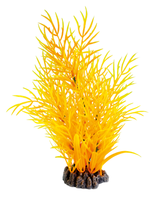 Sf art plant 25 cm orange Superfish - Superfish Sf art plant 25 cm orange Superfish - Superfish