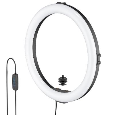 Joby Beamo Ring Light 12'' (30cm)