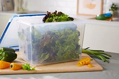 Emsa Clip & Close vershouddoos groot Emsa Clip & Close vershouddoos groot