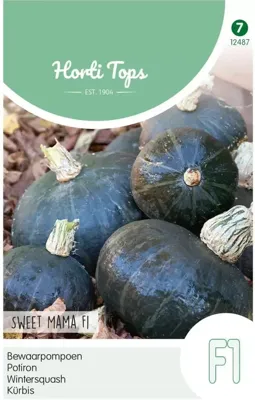 Zaden Pompoenen Nutty Delica F1 Hortitops - Hortitops
