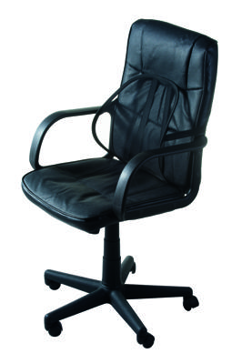 Lumbaalsteun Lifetime 40 x 38 x 15 cm