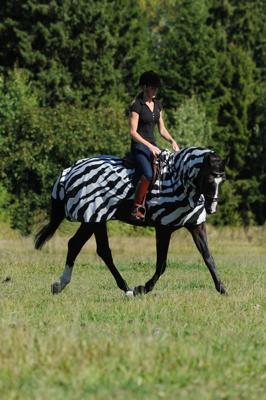 Bucas Buzz-off Riding Zebra zwart/wit maat:155 / 6'7