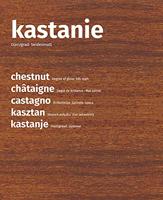 Remmers HK Lazuur - thumbnail