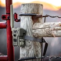 Spypoint FLEX-M Wildcamera 28 Mpix Geluidsopnames, 4G beeldoverdracht, GSM-module Grijs-groen (mat) - thumbnail