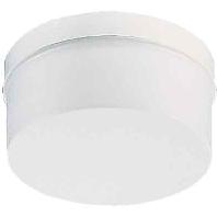 RZB 22141002 Plafondlamp voor badkamer