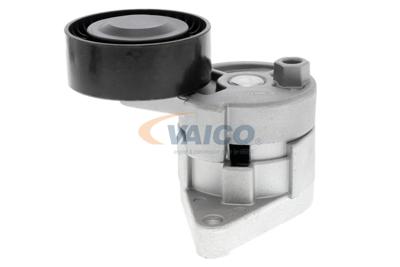 Spanrol, Poly V-riem T38224