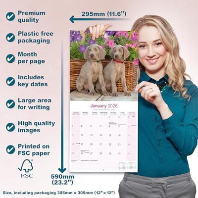 Weimaraner Kalender 2026 Weimaraner Kalender 2026