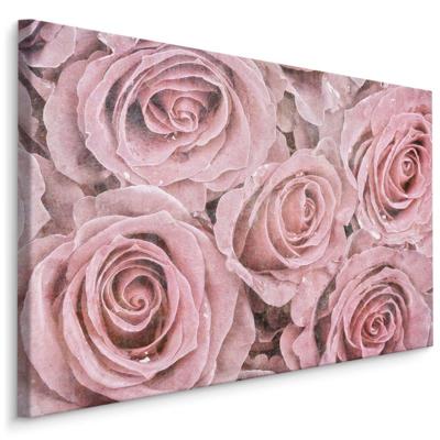 Schilderij - Roze Rozen, Vintage afbeelding, Premium Print op Canvas
