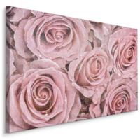 Schilderij - Roze Rozen, Vintage afbeelding, Premium Print op Canvas - thumbnail