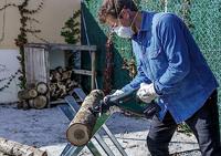 Bosch Accessories 2609256703 Reciprozaagblad HCS, S 1542 K Zaagbladlengte 240 mm 2 stuk(s) - thumbnail