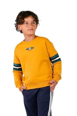 B.Nosy winter sweater jongens - bruin - Sean