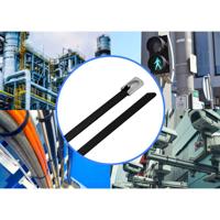 TRU COMPONENTS TC-12656652 Stalen kabelbinder 290 mm 4.6 mm AISI 304 Met coating 10 stuk(s) - thumbnail