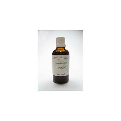 Cruydhof Vitex agnus castus fruct tinctuur bio 100 Milliliter Cruydhof Vitex agnus castus fruct tinctuur bio 100 Milliliter