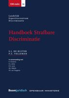 Handboek strafbare discriminatie - S.J. de Ruiter, P.C. Velleman - ebook - thumbnail