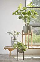 Mica Decorations Blom plant stand zwart h50cm - thumbnail