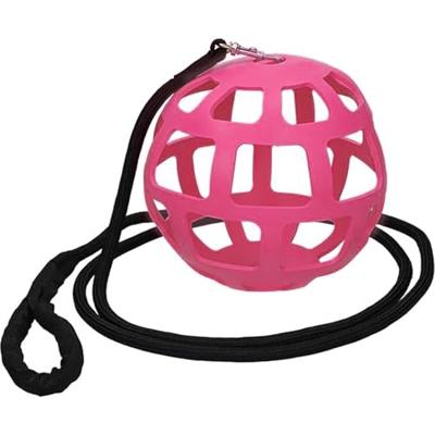 Excellent Slowfeeder fun & flex roze Excellent Slowfeeder fun & flex roze