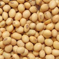 Megachef - Sojasaus Glutenvrij - 500ml - thumbnail