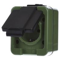 Merten 279077 Wandcontactdoos met randaarde en klapdeksel Compleet 1-voudig Groen 1 stuk(s)