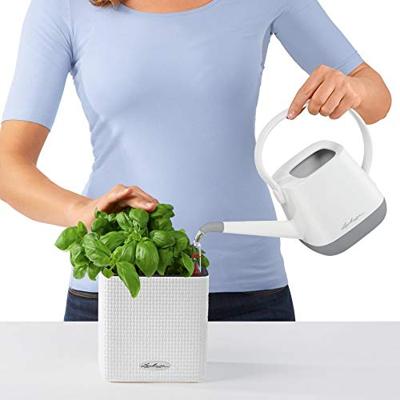 Lechuza Green Wall Home Kit Leisteengrijs