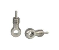 Elvedes Ds banjo oog rvs (10) - thumbnail