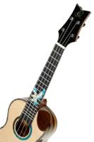 Ortega The Private Room EAGLESUITE-U Concert Ukulele E/A concert ukelele met gigbag - thumbnail