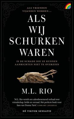 Als wij schurken waren - M.L. Rio - ebook