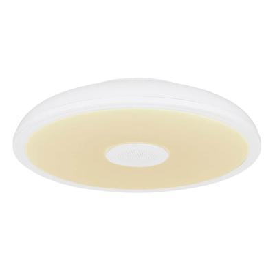 Globo Witte plafonniereRaffy Ø 28cm - 41366W
