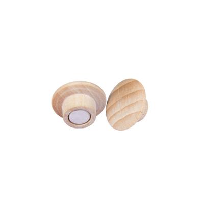 Magneet legamaster hout 5 stuks Magneet legamaster hout 5 stuks