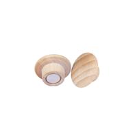 Magneet legamaster hout 5 stuks - thumbnail
