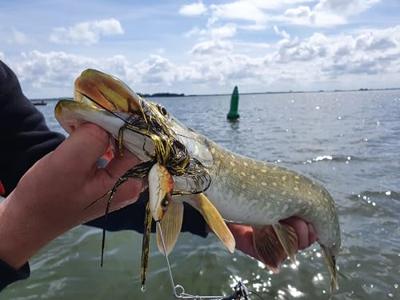 Rozemeijer Dr. Bait 85Gr Spinnerbait Speckled Fire Tiger