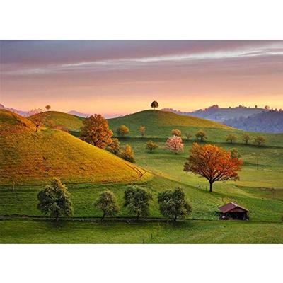 DinoToys Dino puzzel - de zon komt op in zwitsers svycarsko - 3000 stukjes