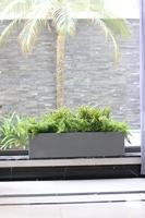 Pottery Pots balkonbak grijs 80x20x20 cm - thumbnail