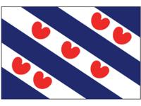 Vlag Friesland 20x30 cm - thumbnail