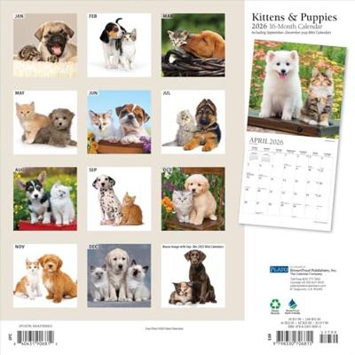 Kittens and Puppies Kalender 2026