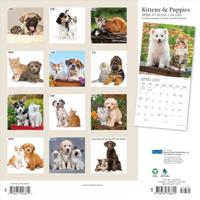 Kittens and Puppies Kalender 2026 - thumbnail