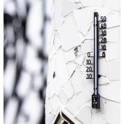 Hama Binnen-Buitenthermometer Analoog Boomstructuur 16 cm Zwart