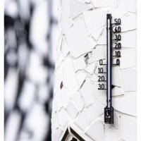 Hama Binnen-Buitenthermometer Analoog Boomstructuur 16 cm Zwart - thumbnail