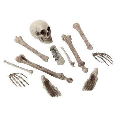 Halloween Decoraties Skelet Wit