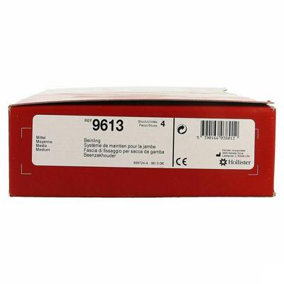 Hollister Beenzakhouder M 4 9613