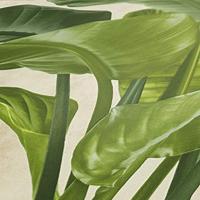 Livingwalls Metropolitan Stories 2 crème behang | 378623 - thumbnail